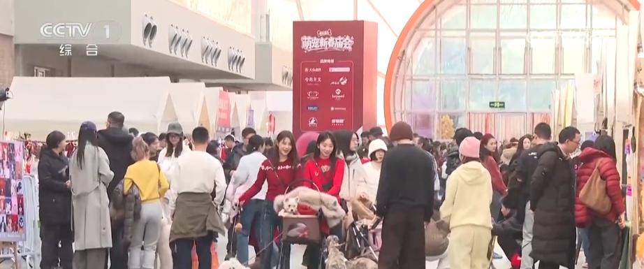 透过“科技旅拍”“电子年货”“冰雪+宠物”解锁春节消费新亮点(图7)