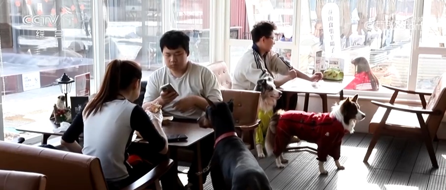 透过“科技旅拍”“电子年货”“冰雪+宠物”解锁春节消费新亮点(图8)